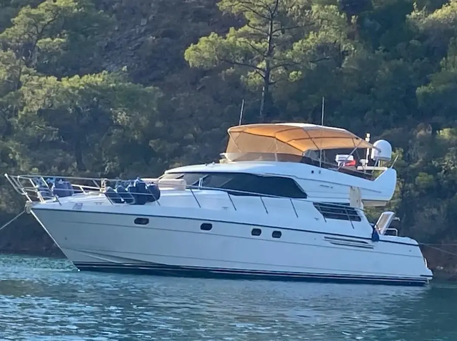Motoryat, çam ormanlı koyda demirli